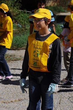 LA BONIFICA delle coste a Palermo una azione simbolica di Lega Ambiente Sicilia. Fotografie di Giulio Azzarello &copy;2014.