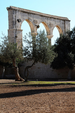 LA CITTA SANTA DI GERUSALEMME fotografie di Giulio Azzarello ©2104. LA CITTA SANTA DI GERUSALEMME fotografie di Giulio Azzarello ©2104.