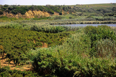 GORGHI TONDI oasi verde a Mazzara del Vallo in Sicilia. Fotografie di Giulio Azzarello ©2016. GORGHI TONDI oasi verde a Mazzara del Vallo in Sicilia. Fotografie di Giulio Azzarello ©2016.