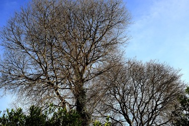 CAMPAGNA fotografie di Giulio Azzarello ©2020.