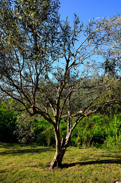 GOLE DELL ALCANTARA in Sicilia. Fotografie di Giulio Azzarello &copy;2016.