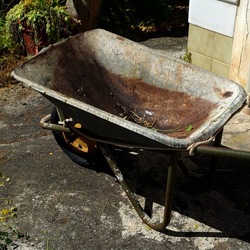 GIARDINO SICILIANO. Fotografie di Giulio Azzarello &copy;2024.