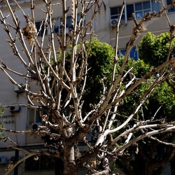 Arabo Normanno. Fotografie di Giulio Azzarello ©2024. Arabo Normanno. Fotografie di Giulio Azzarello ©2024.