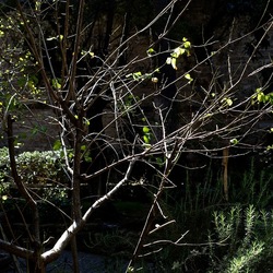 Arabo Normanno. Fotografie di Giulio Azzarello ©2024. Arabo Normanno. Fotografie di Giulio Azzarello ©2024.