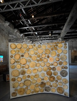 BIENNALE di ARCHITETTURA di VENEZIA giugno 2018. Foto di G.Azzarello ©2018. BIENNALE di ARCHITETTURA di VENEZIA giugno 2018. Foto di G.Azzarello ©2018.