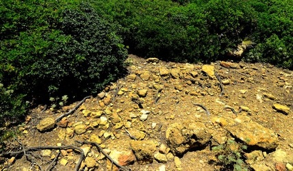 SELINUNTE sito archeologico. Fotografie di Giulio Azzarello ©2018. SELINUNTE sito archeologico. Fotografie di Giulio Azzarello ©2018.