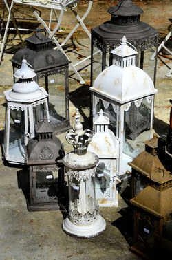 ORTO BOTANICO di Palermo in inverno. Fotografie di Giulio Azzarello &copy;2016.