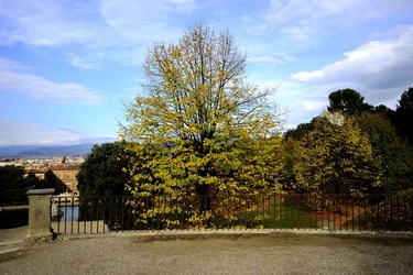 FIRENZE PALAZZO PITTI e GIARDINO DI BOBOLI. Fotografie di Giulio Azzarello &copy;2022.