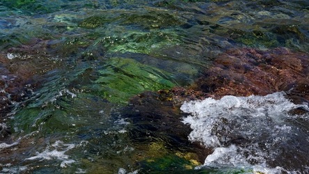 BAIA DEL CORALLO. Fotografie di Giulio Azzarello &copy;2022.