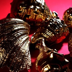 CONCHIGLIE. Fotografia di Giulio Azzarello &copy;2023.