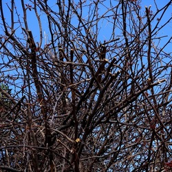 PIANTE. Fotografie di Giulio Azzarello ©2022. PIANTE. Fotografie di Giulio Azzarello ©2022.