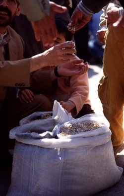 NEWROZ marzo 2001. Curdistan turco. Fotografie di Giulio Azzarello ©2001 2022. NEWROZ marzo 2001. Curdistan turco. Fotografie di Giulio Azzarello ©2001 2022.