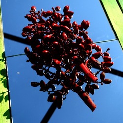 SPECCHIATI. Fotografia di Giulio Azzarello ©2023. SPECCHIATI. Fotografia di Giulio Azzarello ©2023.