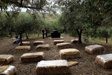 ULIVETO SICILIANO. Fotografie di Giulio Azzarello ©2022.