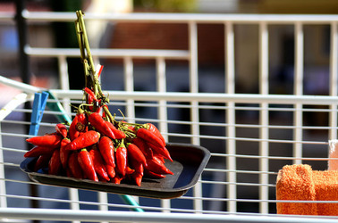 PEPERONCINO fotografie di Giulio Azzarello ©2014. PEPERONCINO fotografie di Giulio Azzarello ©2014.