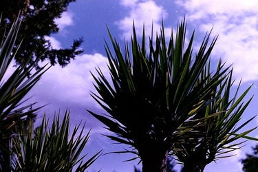 DIGITALIZZAZIONI fotografie di Giulio Azzarello &copy;2020.