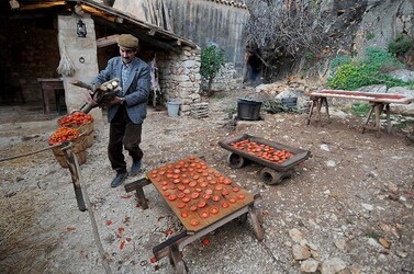 IL PRESEPE VIVENTE DI CUSTONACI in Sicilia. Fotografie di Giulio Azzarello ©2014. IL PRESEPE VIVENTE DI CUSTONACI in Sicilia. Fotografie di Giulio Azzarello ©2014.