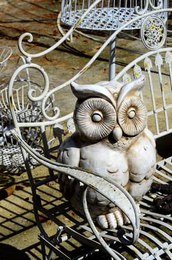 ORTO BOTANICO di Palermo in inverno. Fotografie di Giulio Azzarello &copy;2016.