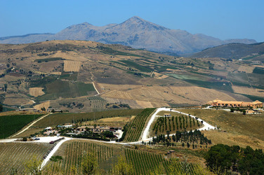 SEGESTA in Sicilia sito archeologico. Fotografie di Giulio Azzarello ©2014.