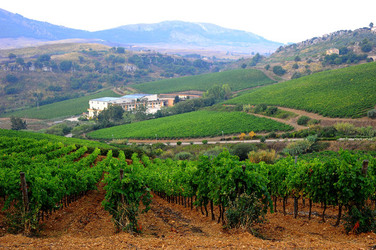 CAMPAGNA SICILIANA. Fotografie di Giulio Azzarello &copy;2016.