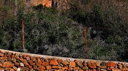 CAPO RAMA riserva naturale Terrasini. Fotografie di Giulio Azzarello &copy;2020.