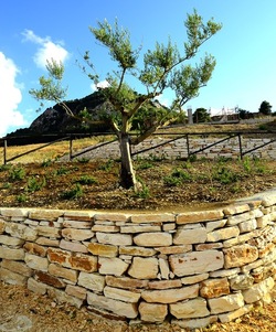 SEGESTA sito archeologico. Fotografie di Giulio Azzarello ©2018.