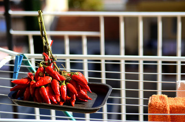 PEPERONCINO fotografie di Giulio Azzarello ©2014. PEPERONCINO fotografie di Giulio Azzarello ©2014.