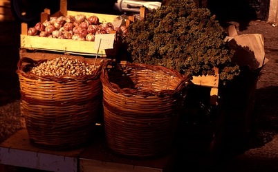 VUCCIRIA anni 90. Fotografie di Giulio Azzarello ©2022. VUCCIRIA anni 90. Fotografie di Giulio Azzarello ©2022.