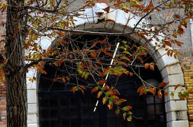 BIENNALE DI VENEZIA Arti Contemporanee Arsenale. Fotografie di Giulio Azzarello &copy;2020.