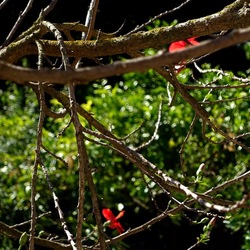 GIARDINO SICILIANO. Fotografie di Giulio Azzarello ©2022. GIARDINO SICILIANO. Fotografie di Giulio Azzarello ©2022.