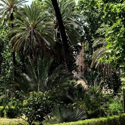 PALERMO. Fotografie di Giulio Azzarello &copy;2022.