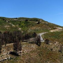 SEGESTA. Fotografie di Giulio Azzarello ©2024. SEGESTA. Fotografie di Giulio Azzarello ©2024.