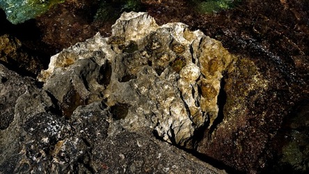 BAIA DEL CORALLO. Fotografie di Giulio Azzarello &copy;2022.