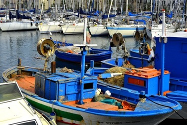 BARCHE fotografie di Giulio Azzarello ©2019.