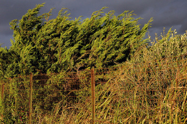 LUIGI PIRANDELLO il parco e la casa museo. Fotografie di Giulio Azzarello ©2014.