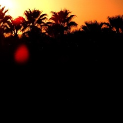 SELINUNTE. Fotografie di Giulio Azzarello ©2022. SELINUNTE. Fotografie di Giulio Azzarello ©2022.