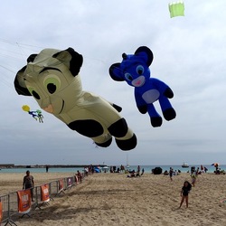 FESTIVALE AQUILONI. Fotografie di Giulio Azzarello ©2023. FESTIVALE AQUILONI. Fotografie di Giulio Azzarello ©2023.