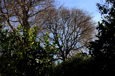 CAMPAGNA fotografie di Giulio Azzarello ©2020.