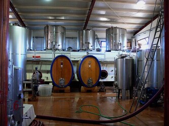 VIGNETO tipico siciliano a Salemi panoramiche e particolari. Fotografie di Giulio Azzarello &copy;2014.