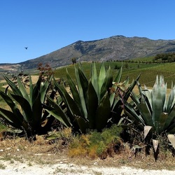 SEGESTA. Fotografie di Giulio Azzarello ©2024. SEGESTA. Fotografie di Giulio Azzarello ©2024.