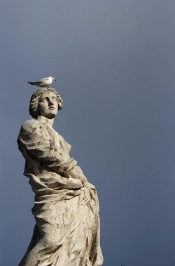 LE SCULTURE DI SAN PIETRO sopra il colonnato a Roma. Fotografie di Giulio Azzarello &copy;2014.