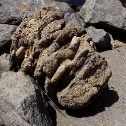 BARCHE. Fotografie di Giulio Azzarello &copy;2022.