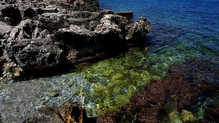 BAIA DEL CORALLO. Fotografie di Giulio Azzarello &copy;2022.