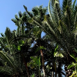 SELINUNTE. Fotografie di Giulio Azzarello ©2022. SELINUNTE. Fotografie di Giulio Azzarello ©2022.