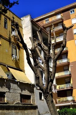 PERIFERIE fotografie di Giulio Azzarello ©2019.