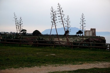 TERRASINI. Fotografie di Giulio Azzarello &copy;2022.