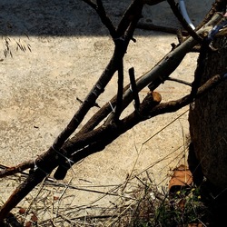 ZISA. Fotografie di Giulio Azzarello &copy;2023.