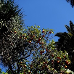 Arabo Normanno. Fotografie di Giulio Azzarello ©2024. Arabo Normanno. Fotografie di Giulio Azzarello ©2024.