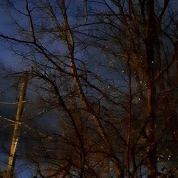 INVERNO. Fotografie di Giulio Azzarello &copy;2023.