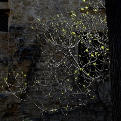 Arabo Normanno. Fotografie di Giulio Azzarello ©2024. Arabo Normanno. Fotografie di Giulio Azzarello ©2024.